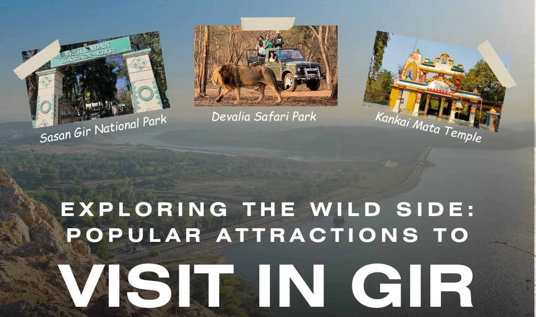 Exploring the Wild Side: Popular Attractions to Visit in Gir