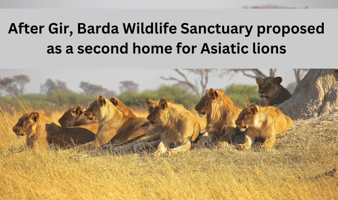 After Gir, Barda Wildlife Sanctuary proposed as a second home for Asiatic lions
