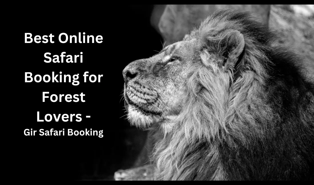 Best Online Safari Booking for Forest Lovers – Gir Safari Booking