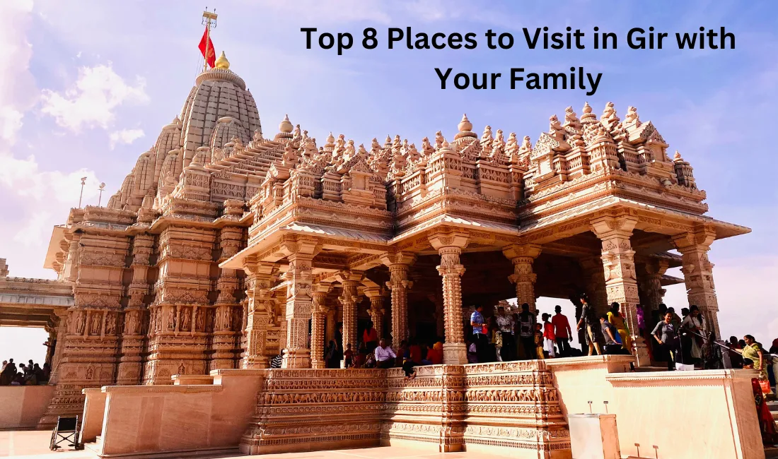Top 8 Places to Visit in Gir with Your Family