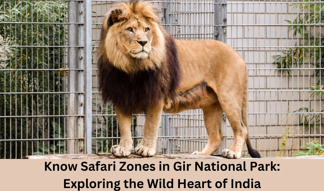 Know Safari Zones in Gir National Park: Exploring the Wild Heart of India